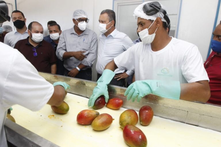 Rui entrega agroindústria em Sobradinho para processamento de duas mil  toneladas de frutas por ano "#Acesse Política" %%sep%% #Acesse Política | O  site de política mais acessado da Bahia!